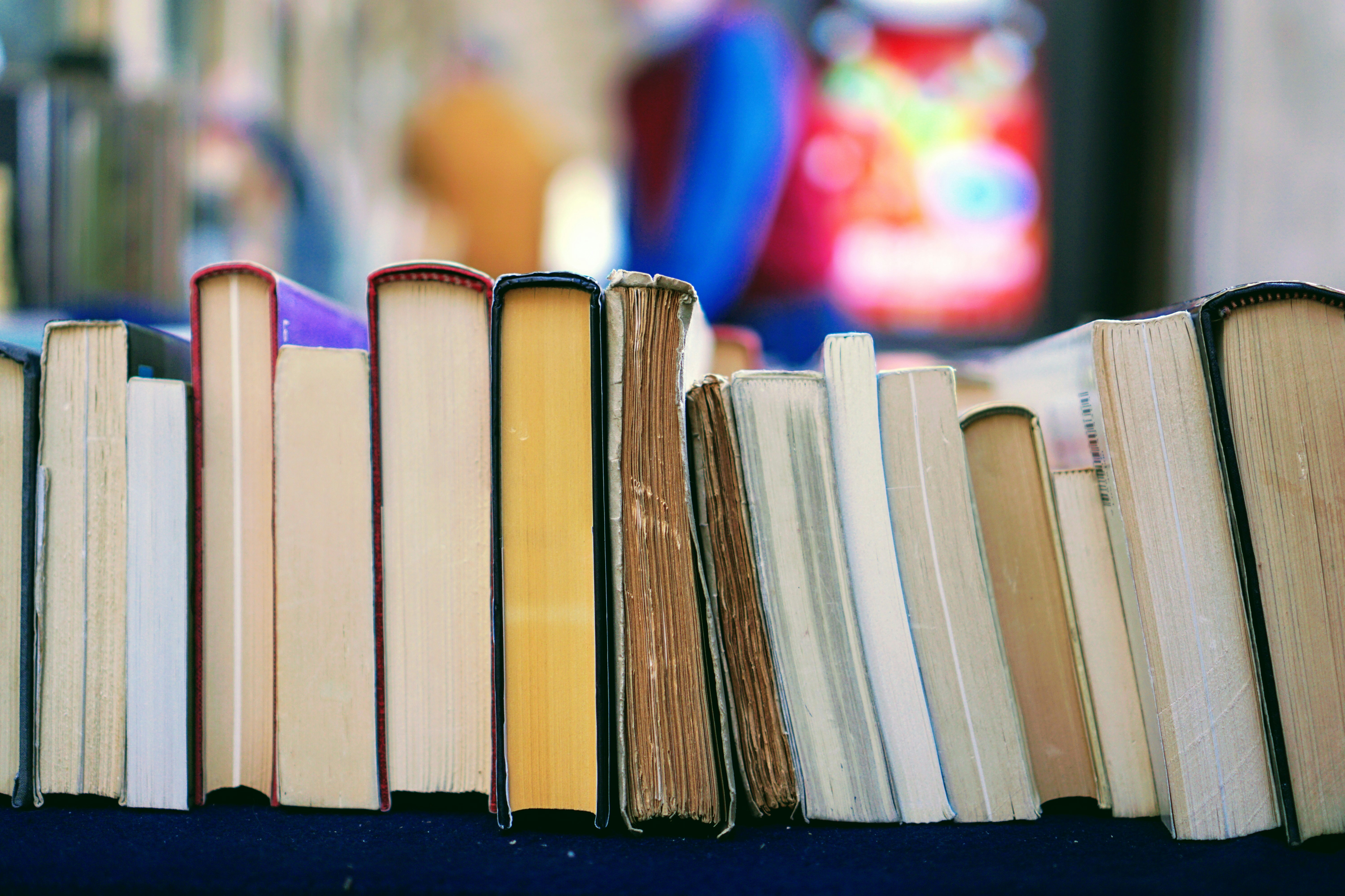 books aligned on a singular shelf