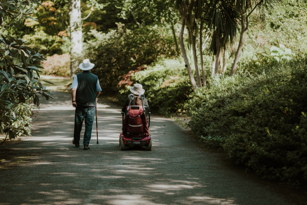 Person with walking stick and person in wheelchair exploring a garden